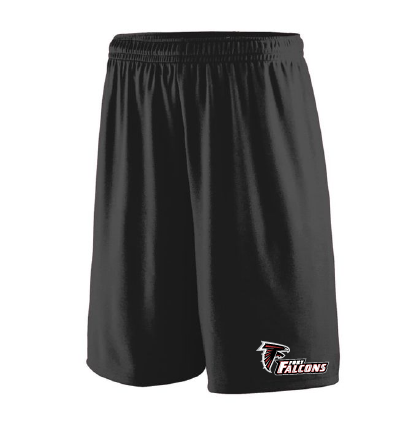 Falcons Pro Team Shorts